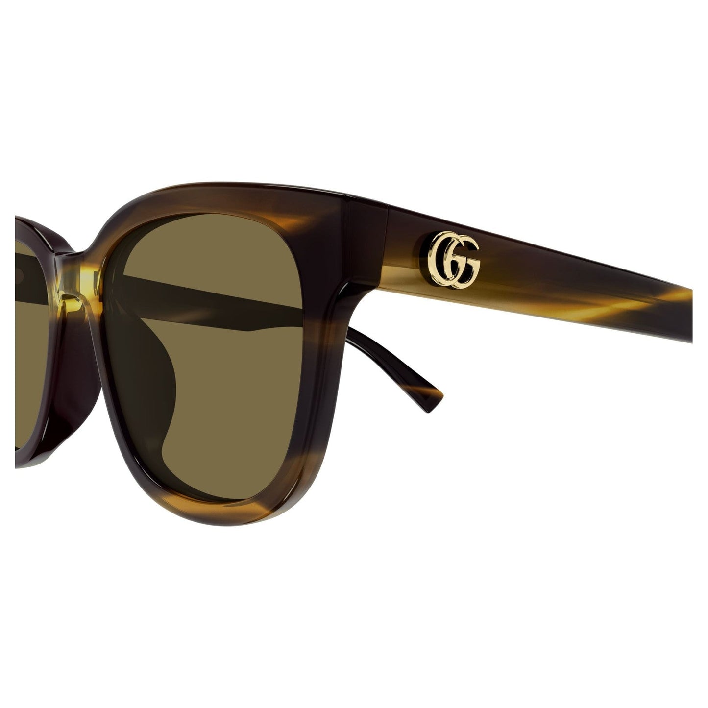 Gucci GG2126SK - 003 Havana | Occhiale Da Sole Donna