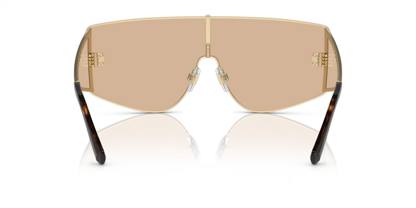 Occhiali Da Sole Dolce & Gabbana DG2305 13655A
