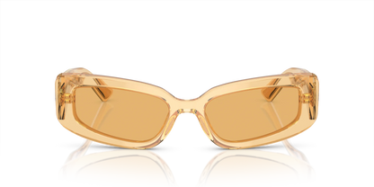Occhiali Da Sole Dolce & Gabbana DG4445 3046/7 54