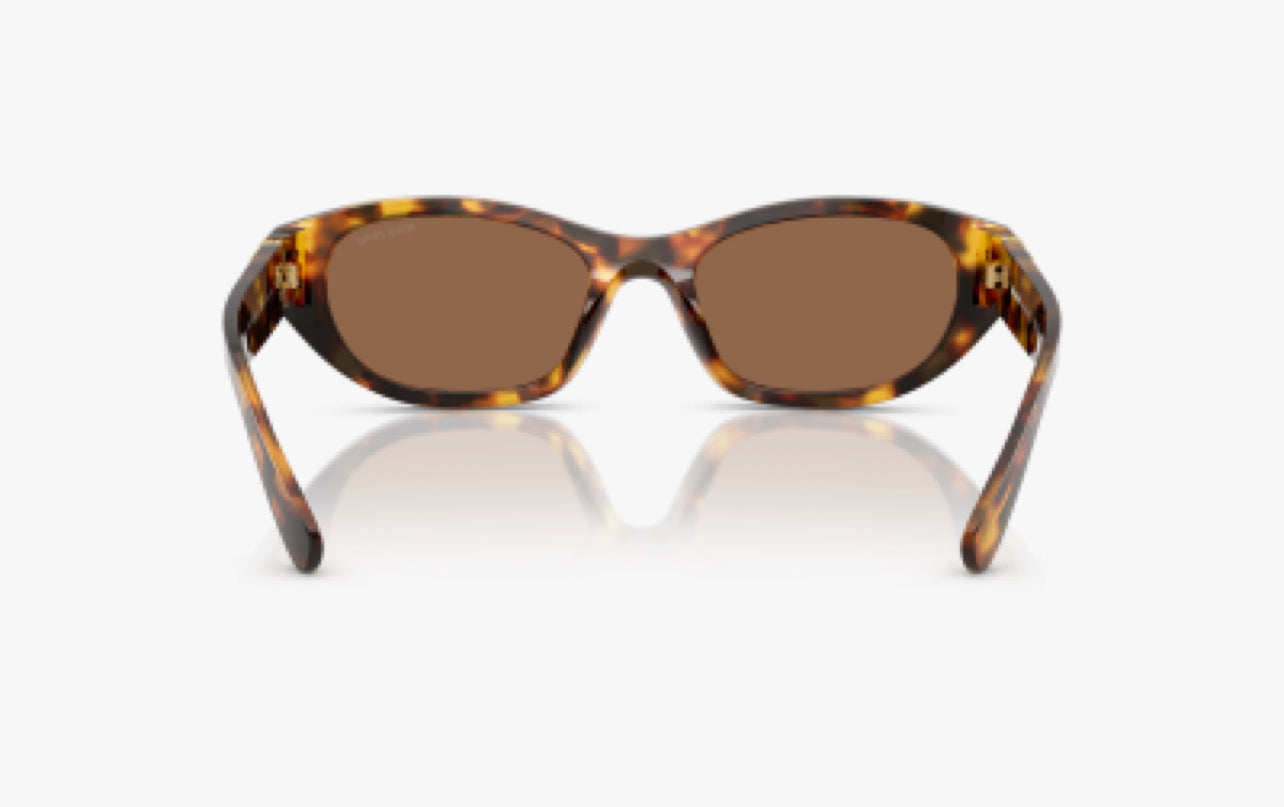 Miu Miu   Women's Sunglasses