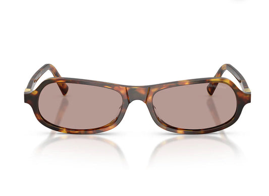 Miu Miu   Women's Sunglasses