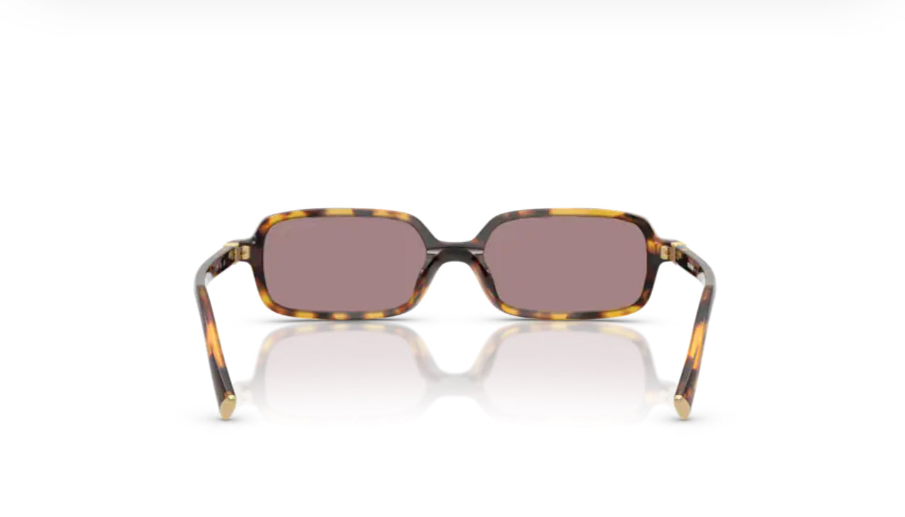 Miu Miu  11ZS 14L20I - Havana miele