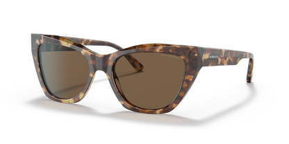 Occhiali Da Sole Emporio Armani EA4176 502573 54