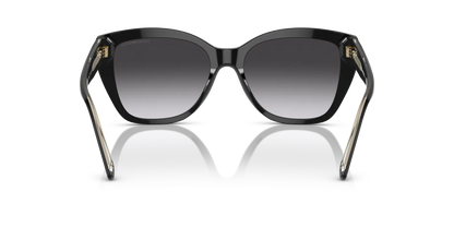 Occhiali Da Sole Emporio Armani EA4198 50178G 55