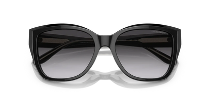 Occhiali Da Sole Emporio Armani EA4198 50178G 55