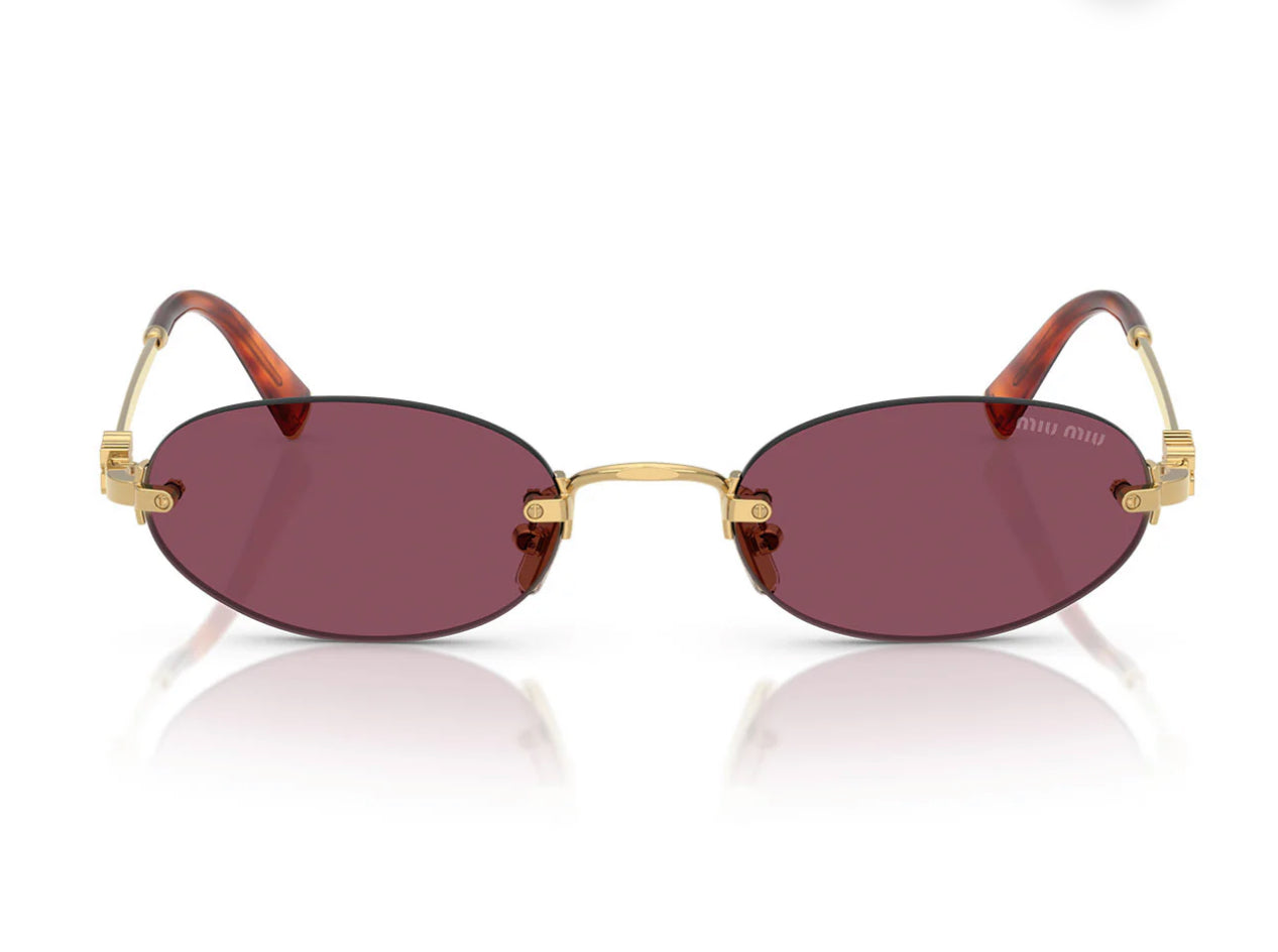 Miu Miu   Women's Sunglasses