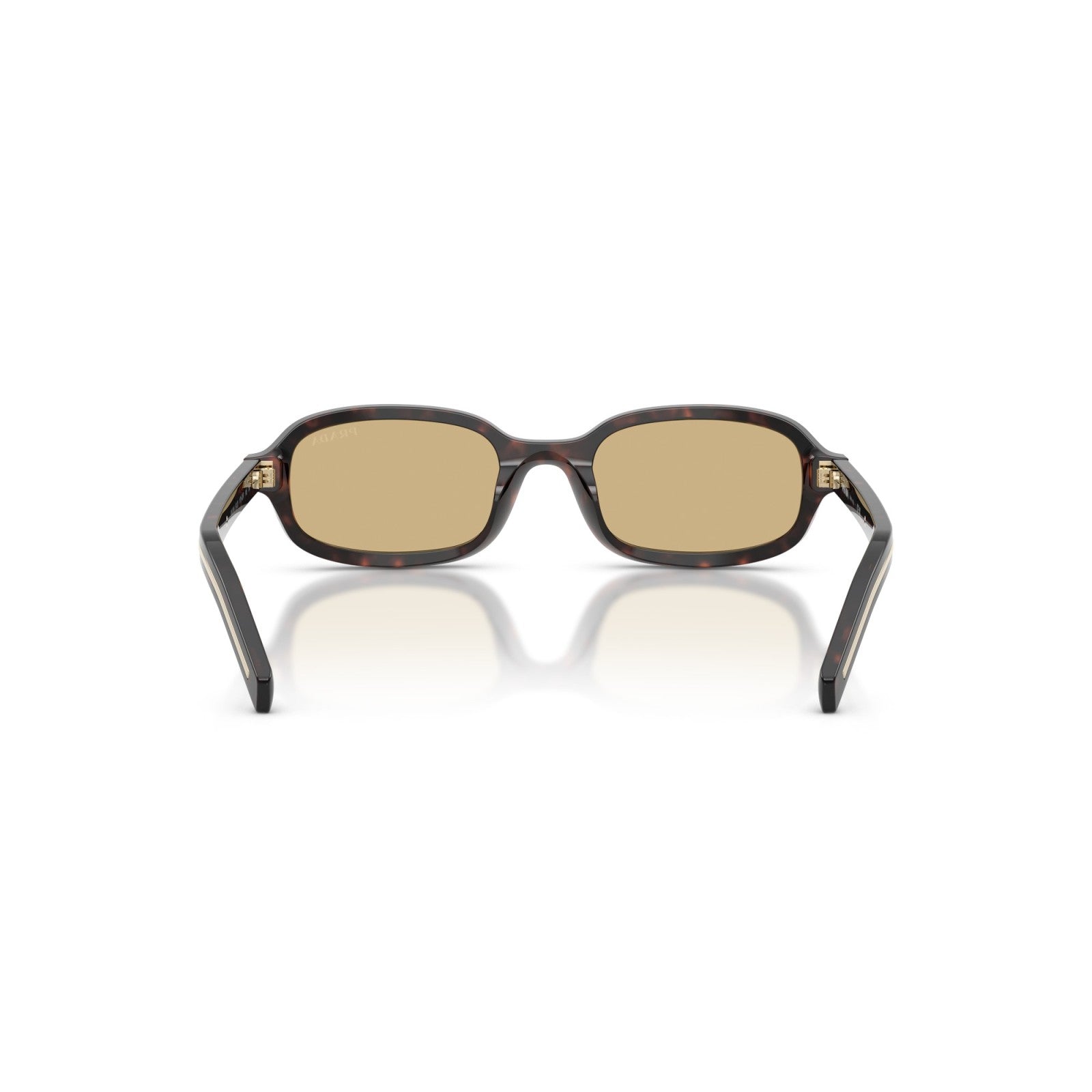 Prada PR D06S - 17N70R Tartaruga Delle Radici | Occhiale Da Sole Donna
