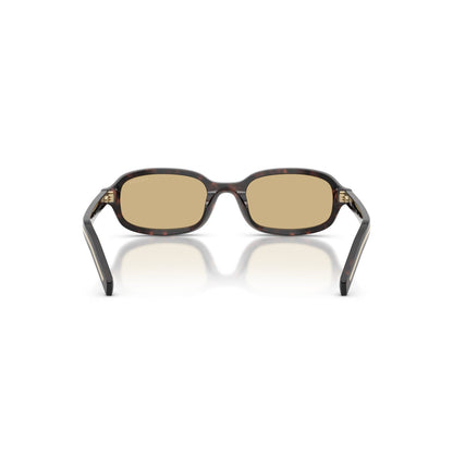 Prada PR D06S - 17N70R Tartaruga Delle Radici | Occhiale Da Sole Donna