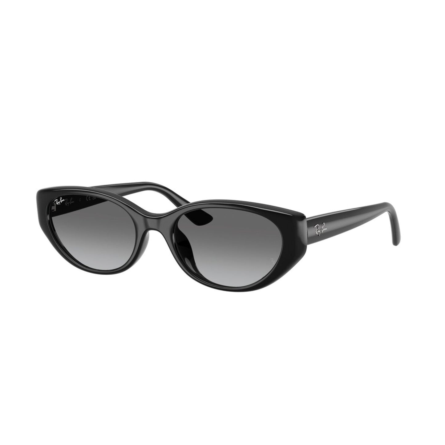 Ray-Ban RB 4457D - 667711 Nero | Occhiale Da Sole Unisex