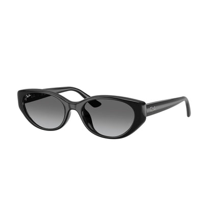 Ray-Ban RB 4457D - 667711 Nero | Occhiale Da Sole Unisex