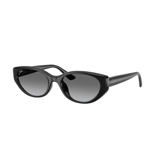 Ray-Ban RB 4457D - 667711 Nero | Occhiale Da Sole Unisex