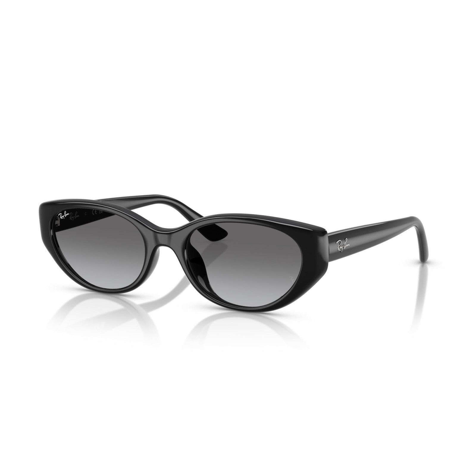 Ray-Ban RB 4457D - 667711 Nero | Occhiale Da Sole Unisex