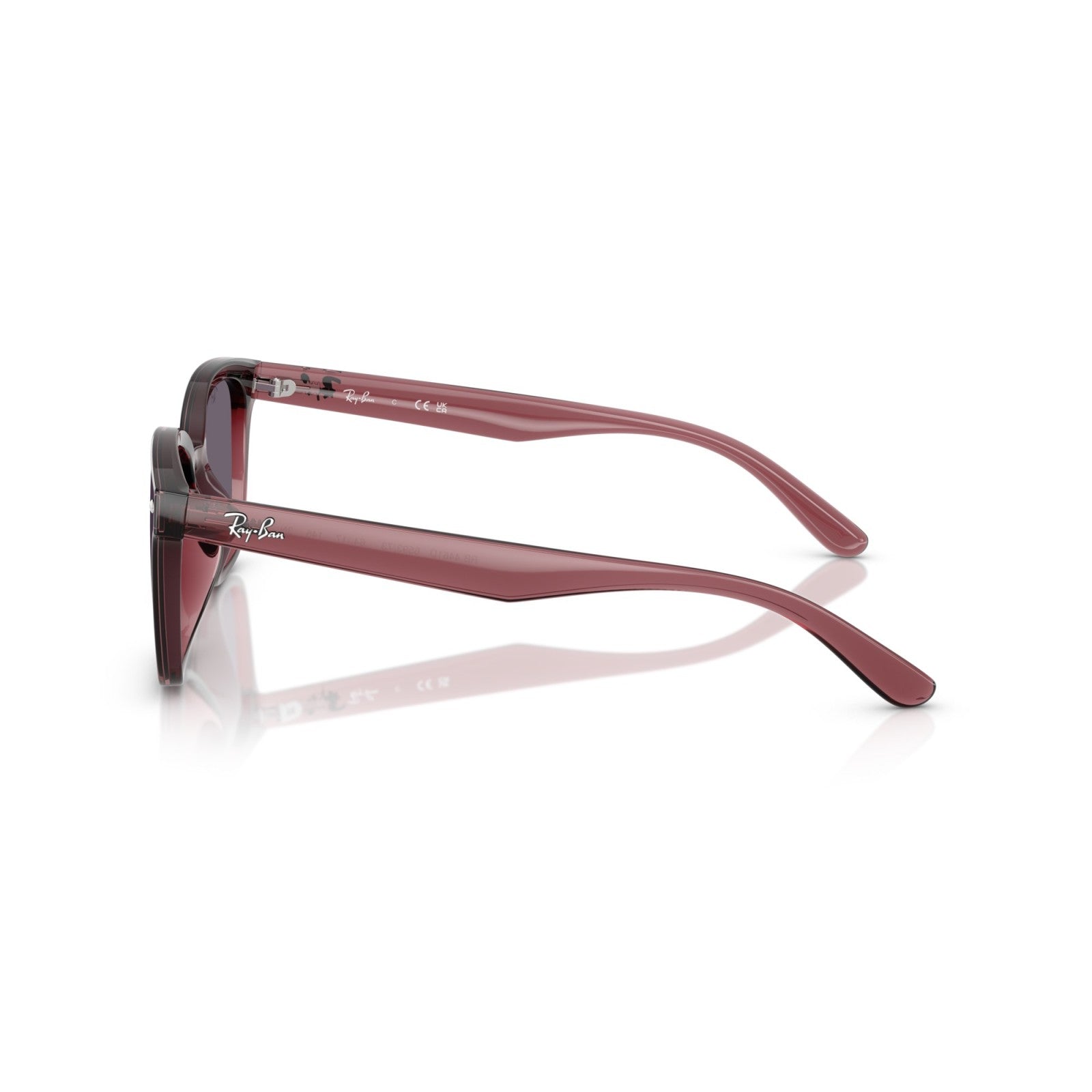 Ray-Ban RB 4461D - 659373 Marrone Scuro Trasparente | Occhiale Da Sole Unisex