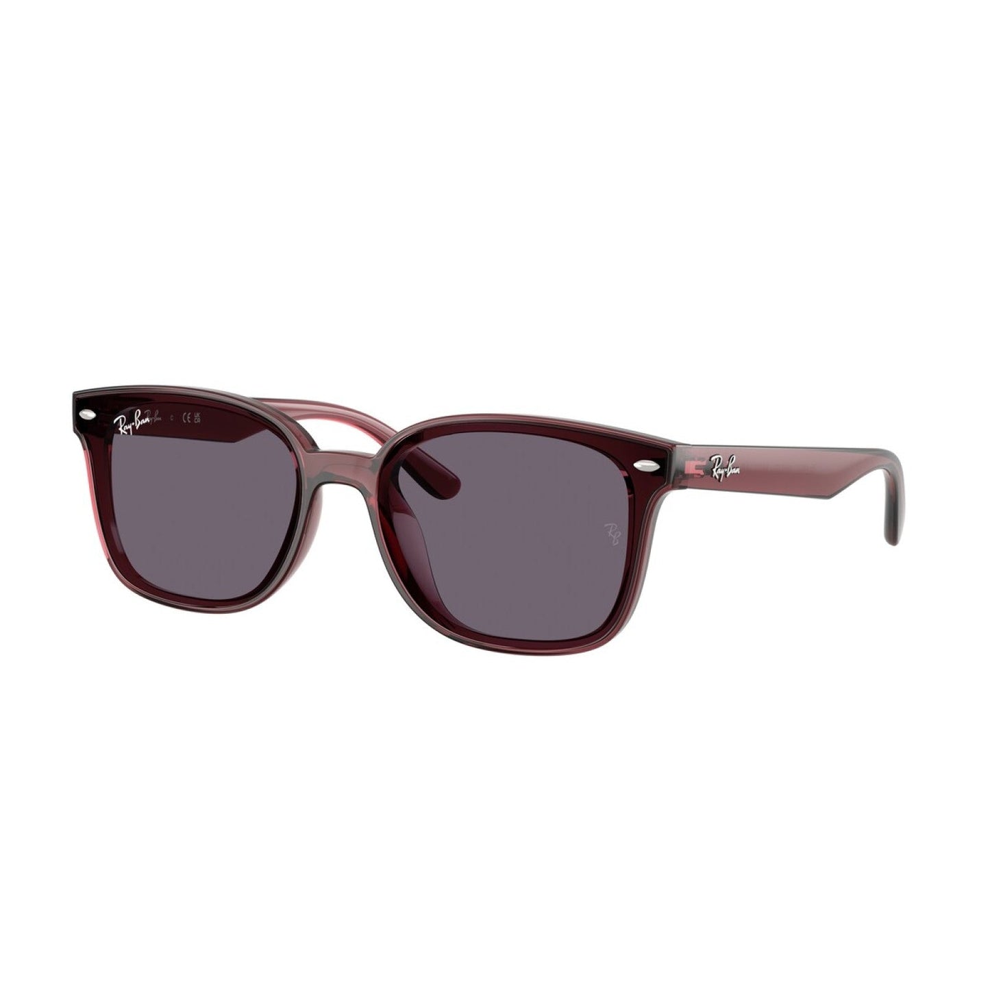 Ray-Ban RB 4461D - 659373 Marrone Scuro Trasparente | Occhiale Da Sole Unisex