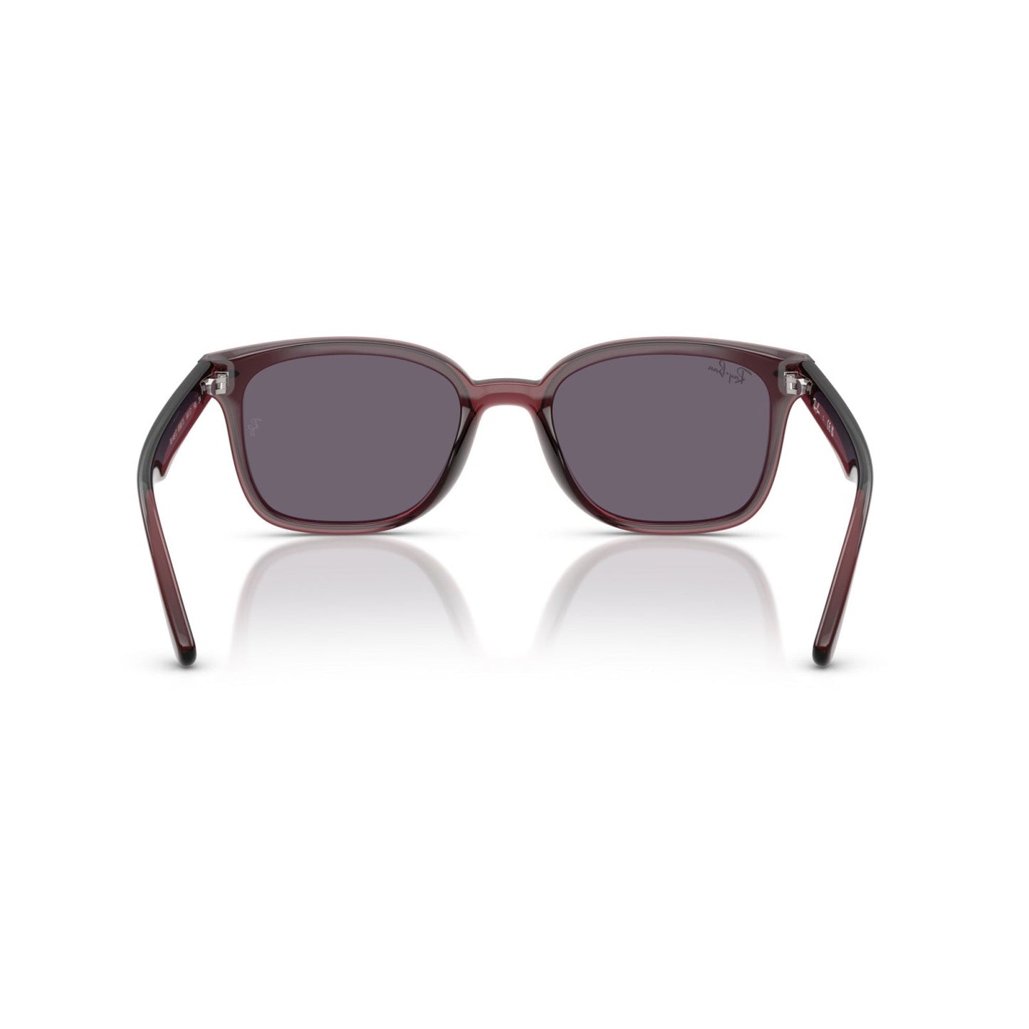 Ray-Ban RB 4461D - 659373 Marrone Scuro Trasparente | Occhiale Da Sole Unisex