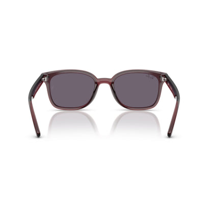 Ray-Ban RB 4461D - 659373 Marrone Scuro Trasparente | Occhiale Da Sole Unisex