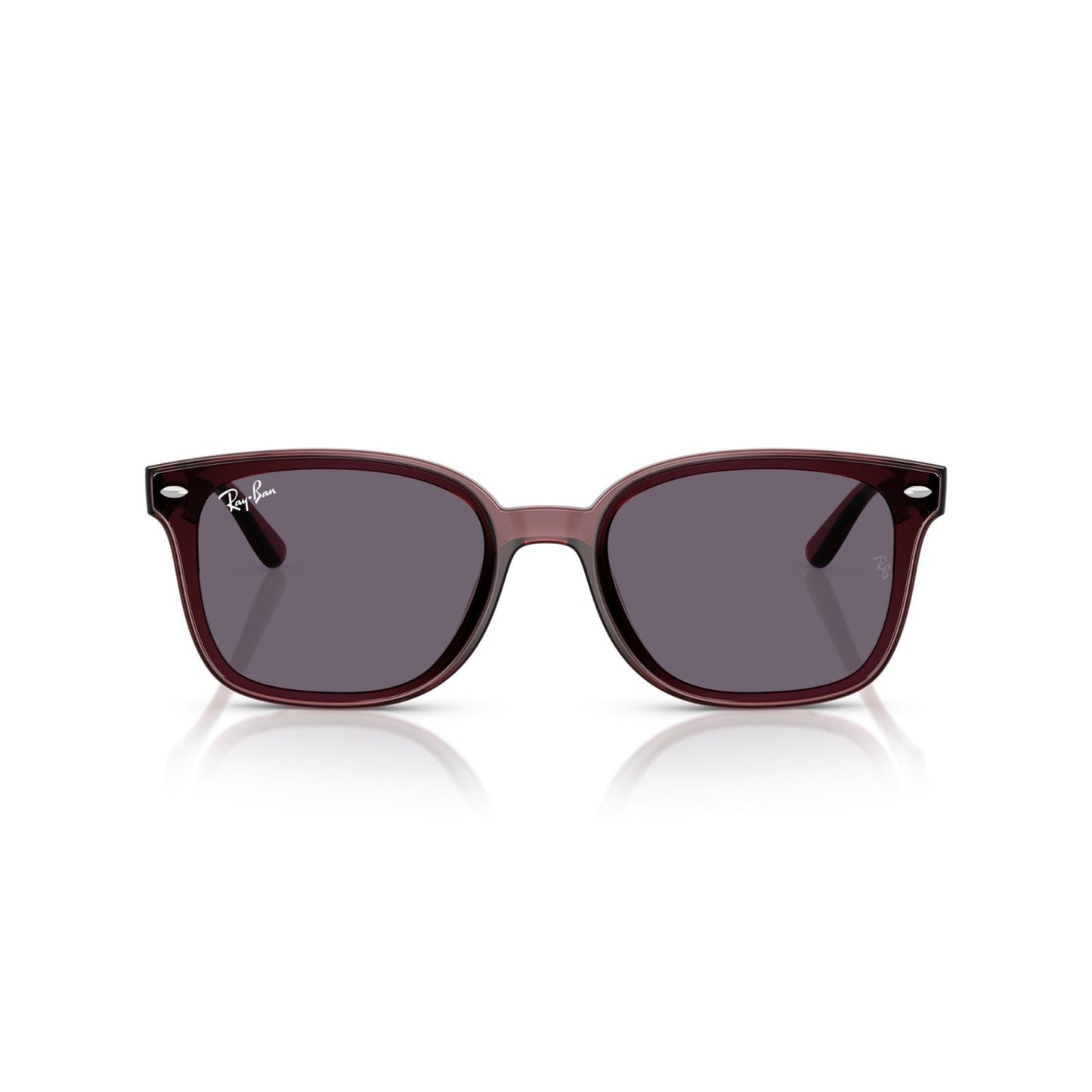 Ray-Ban RB 4461D - 659373 Marrone Scuro Trasparente | Occhiale Da Sole Unisex
