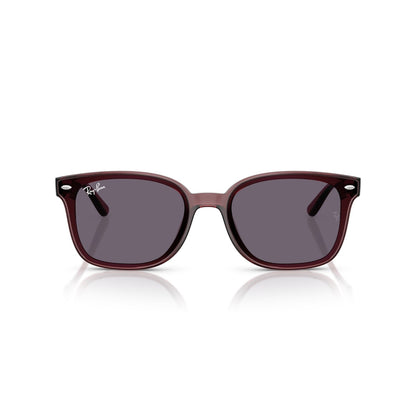Ray-Ban RB 4461D - 659373 Marrone Scuro Trasparente | Occhiale Da Sole Unisex