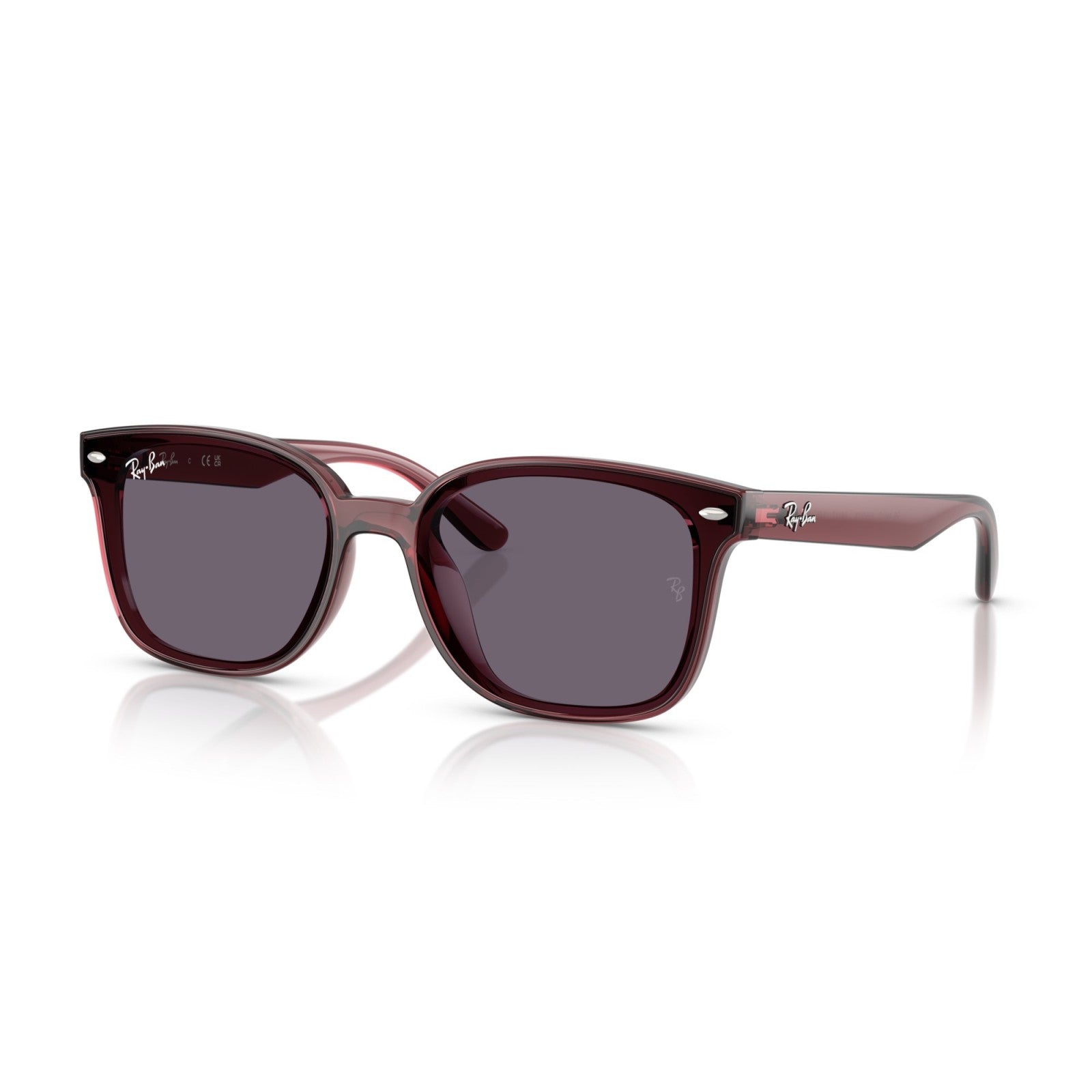 Ray-Ban RB 4461D - 659373 Marrone Scuro Trasparente | Occhiale Da Sole Unisex