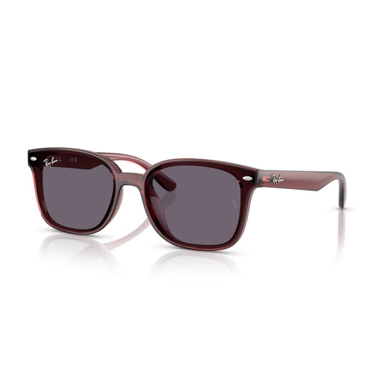Ray-Ban RB 4461D - 659373 Marrone Scuro Trasparente | Occhiale Da Sole Unisex