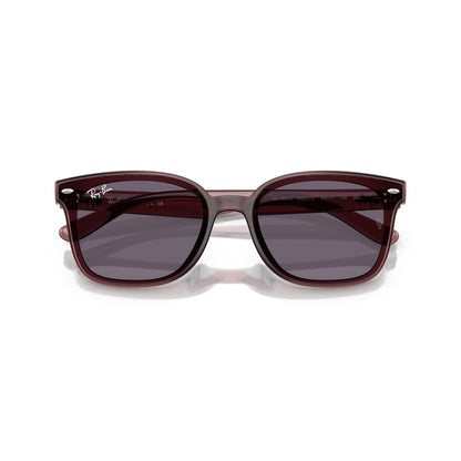 Ray-Ban RB 4461D - 659373 Marrone Scuro Trasparente | Occhiale Da Sole Unisex
