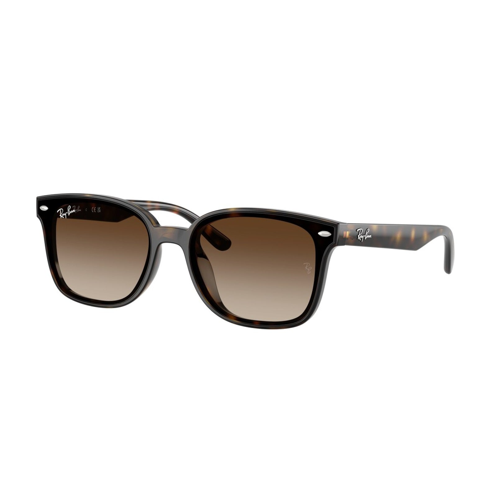 Ray-Ban RB 4461D - 710/13 L'Avana | Occhiale Da Sole Unisex