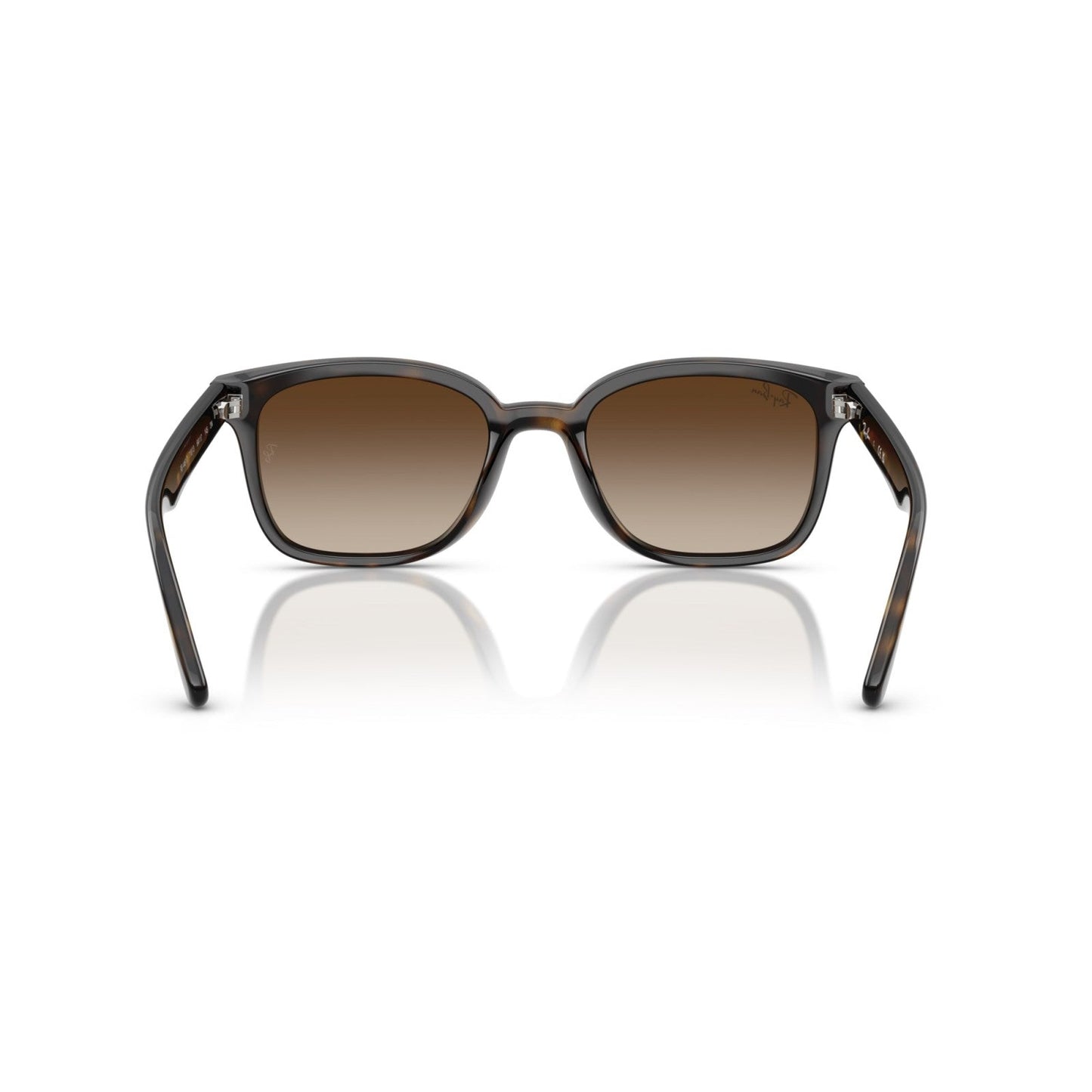 Ray-Ban RB 4461D - 710/13 L'Avana | Occhiale Da Sole Unisex