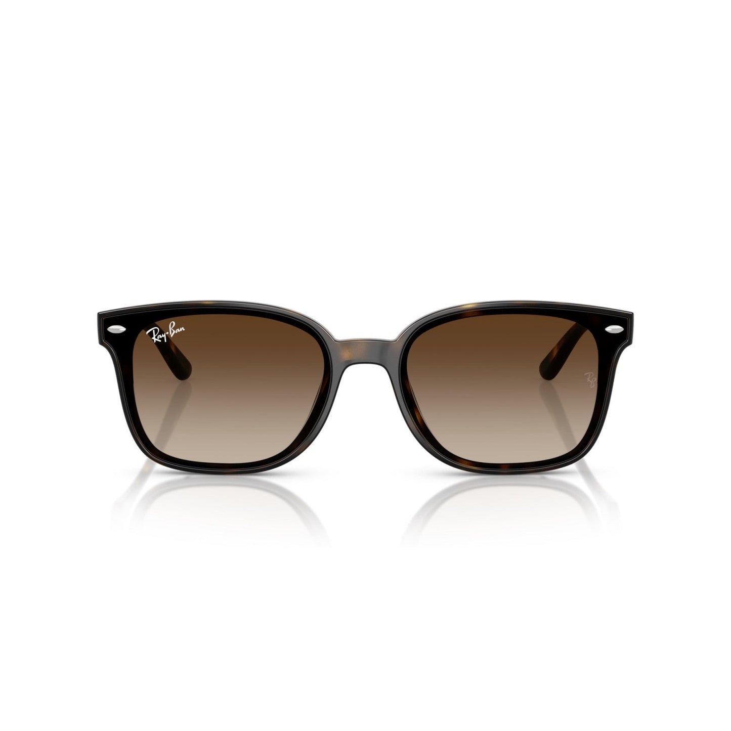 Ray-Ban RB 4461D - 710/13 L'Avana | Occhiale Da Sole Unisex
