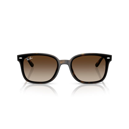 Ray-Ban RB 4461D - 710/13 L'Avana | Occhiale Da Sole Unisex