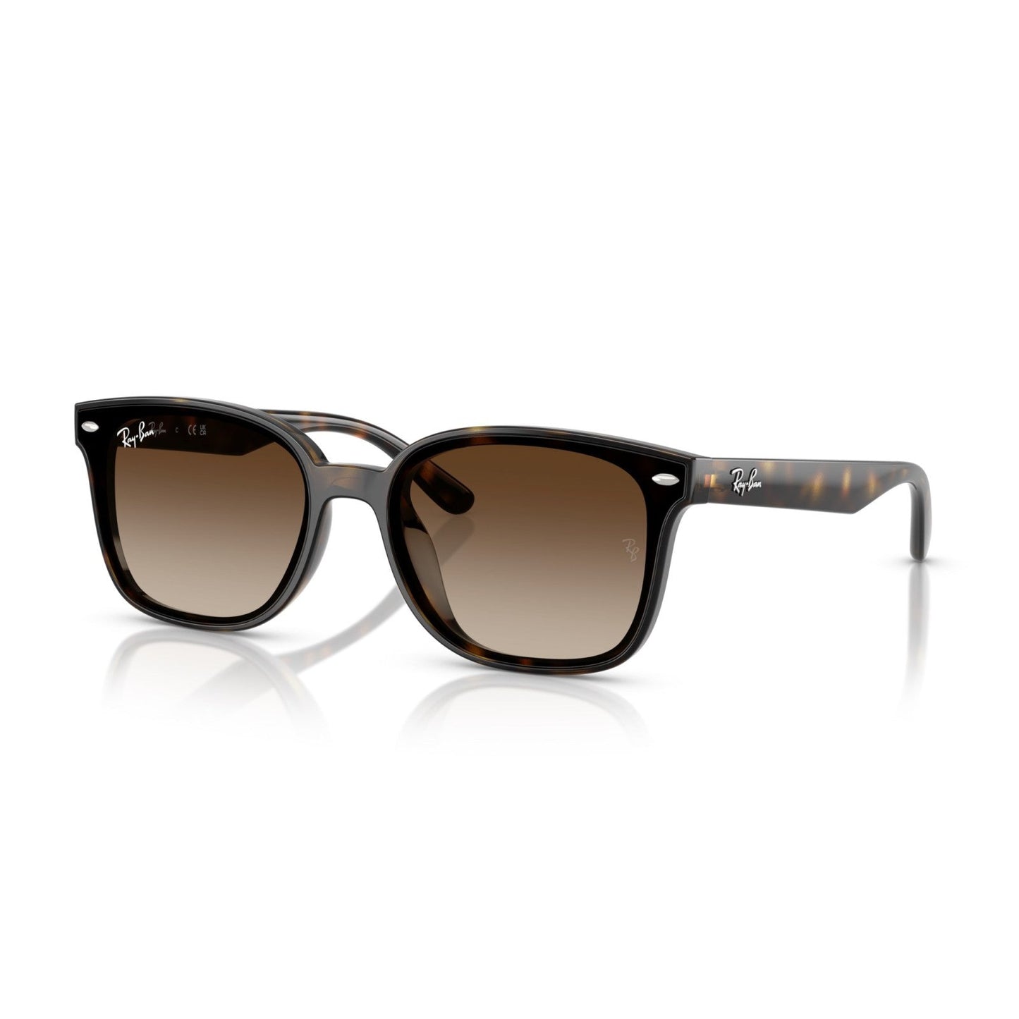 Ray-Ban RB 4461D - 710/13 L'Avana | Occhiale Da Sole Unisex