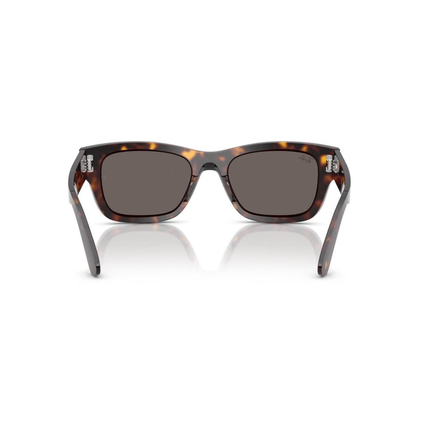 Ray-Ban RB 7683S Joseph 902/B1 L'Avana | Occhiale Da Sole Unisex