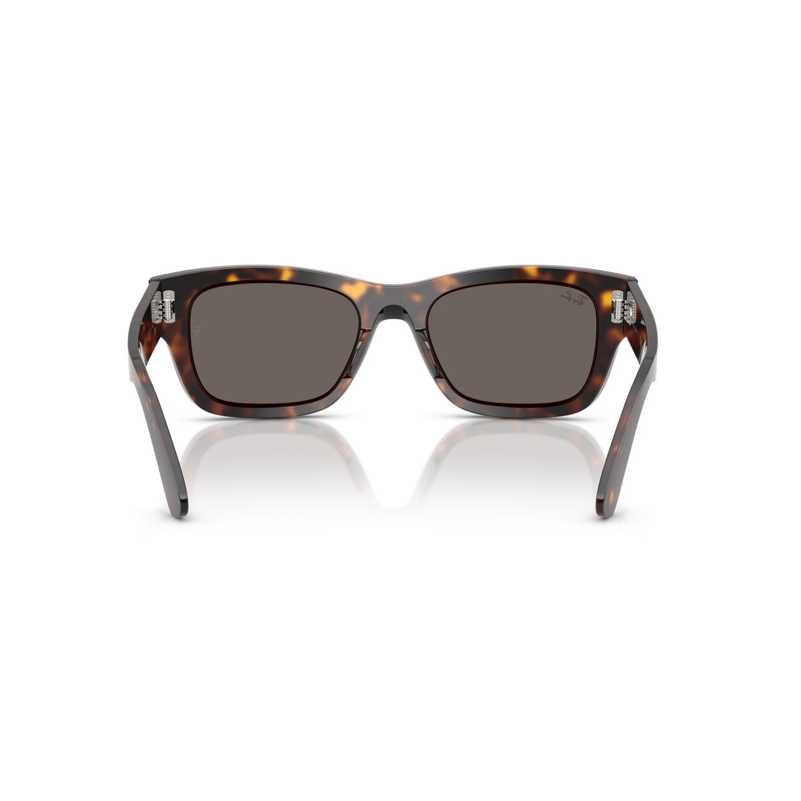 Ray-Ban RB 7683S Joseph 902/B1 L'Avana | Occhiale Da Sole Unisex