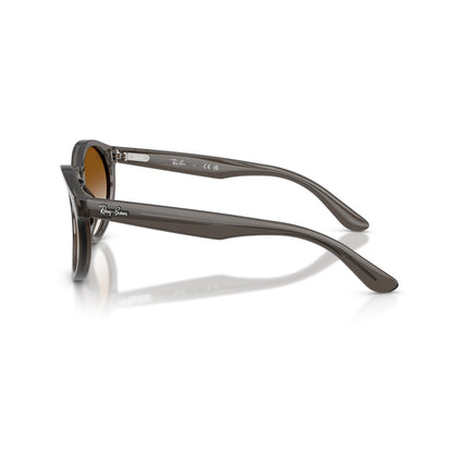 Ray-Ban RB R0505S - 6707CB Grigio Scuro Trasparente | Occhiale Da Sole Unisex