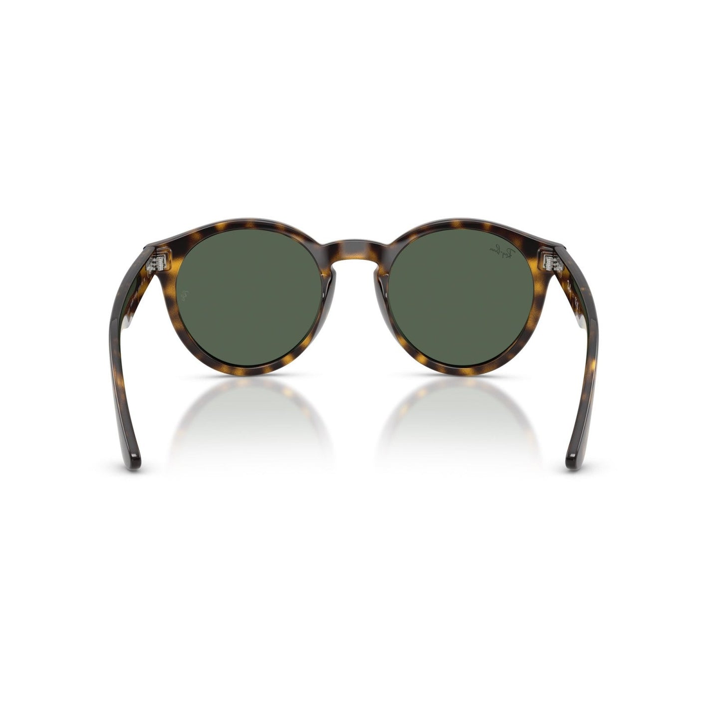 Ray-Ban RB R0505S - 6790VR L'Avana | Occhiale Da Sole Unisex